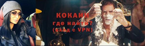 крисы Верея